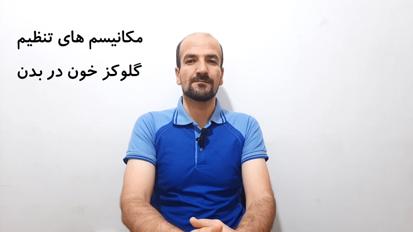 مکانیسم های تنظیم گلوکز خون در بدن