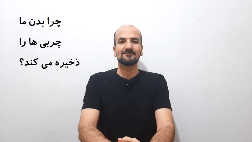 چرا بدن ما چربی ها را ذخیره می کند؟