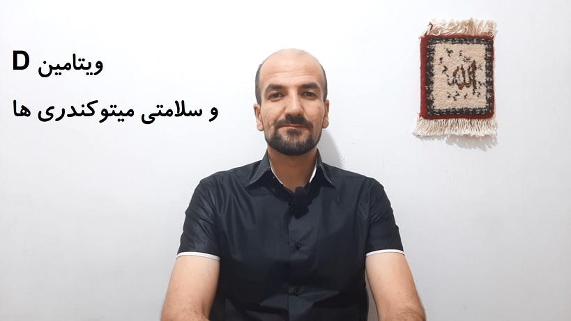 ویتامین D و سلامتی میتوکندری ها
