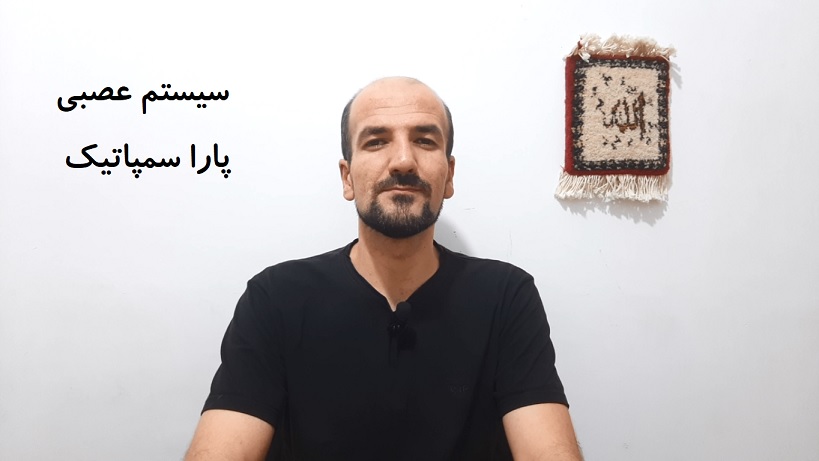 سیستم عصبی پارا سمپاتیک