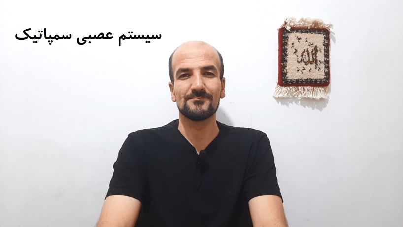 سیستم عصبی سمپاتیک