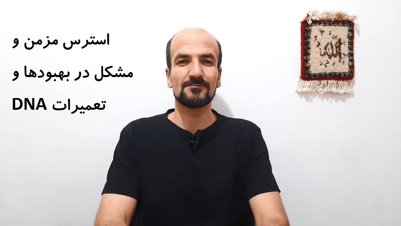 استرس مزمن، مشکل در بهبودها و تعمیرات DNA