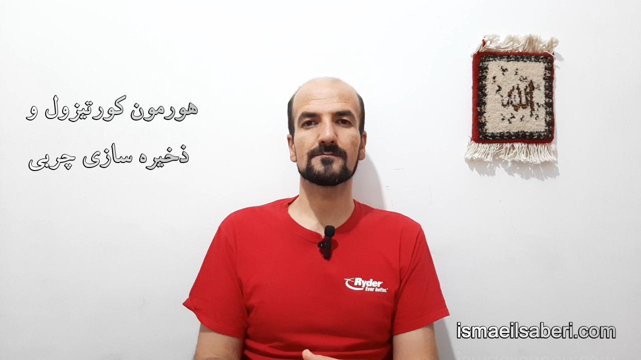 هورمون کورتیزول و ذخیره سازی چربی