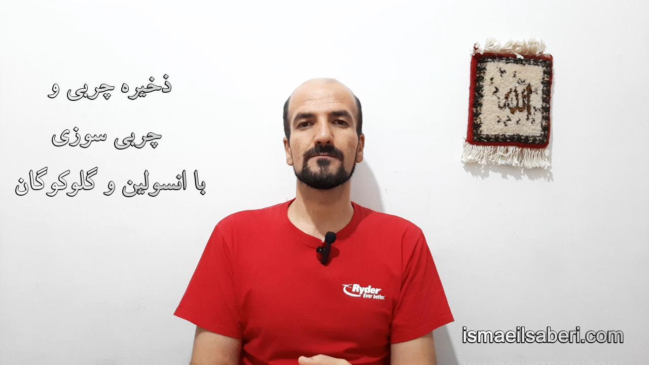 ذخیره چربی و چربی سوزی با انسولین و گلوکوگان