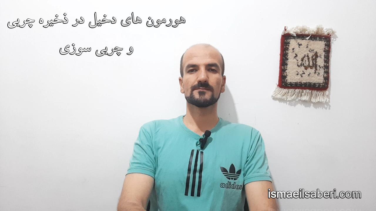 هورمون های دخیل در ذخیره چربی و چربی سوزی