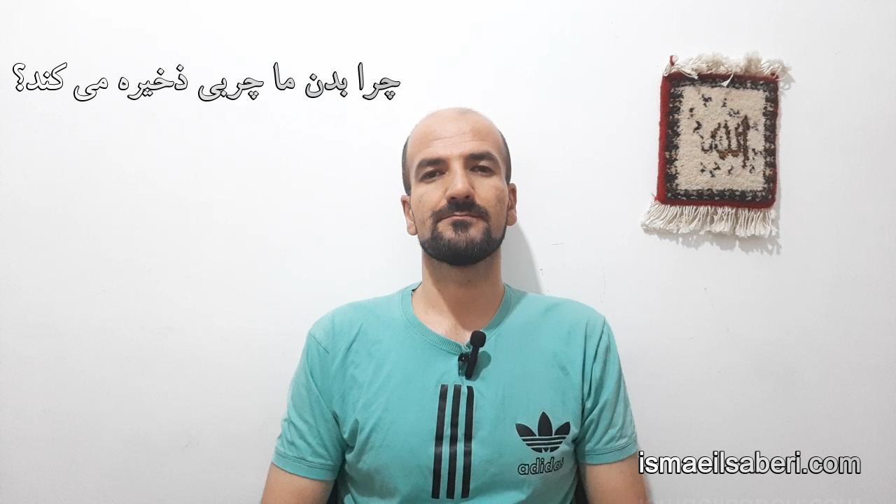 چرا بدن ما چربی ذخیره می کند؟