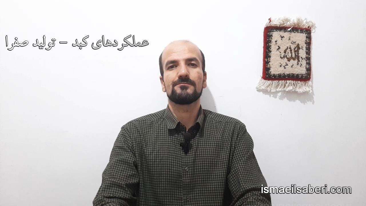 عملکردهای کبد - تولید صفرا