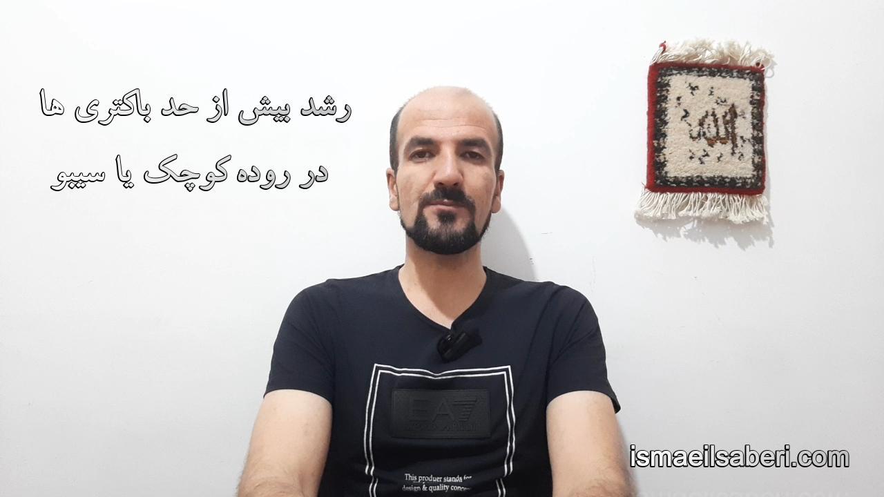 رشد بیش از حد باکتری ها در روده کوچک یا سیبو