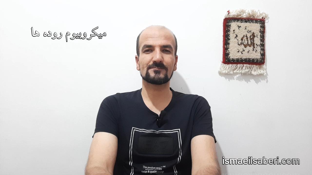 میکروبیوم روده ها