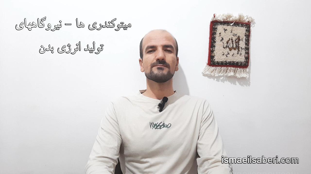 میتوکندری ها - نیروگاههای انرژی بدن