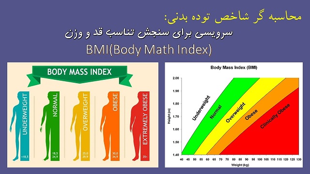 شاخص توده ی بدنی