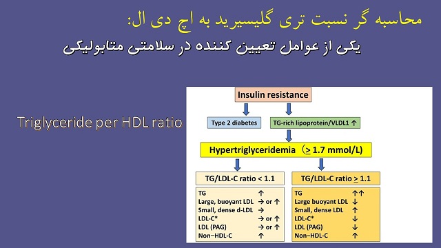 نسبت تری گلیسیرید به اچ دی ال